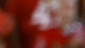 Tom Brady suma 556 capturas en su carrera.