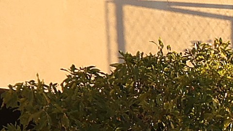 Paul Pelosi, el esposo de la presidenta de la Cámara de Representantes de los Estados Unidos, Nancy Pelosi, fue atacado violentamente en su casa por un intruso.