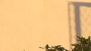 Las autoridades investigan el asalto sufrido por el esposo de Nancy Pelosi en su casa en San Francisco.