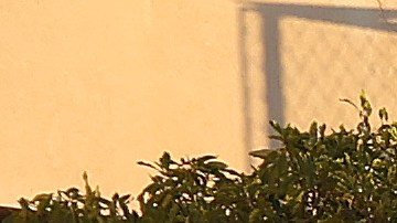 Las autoridades investigan el asalto sufrido por el esposo de Nancy Pelosi en su casa en San Francisco.