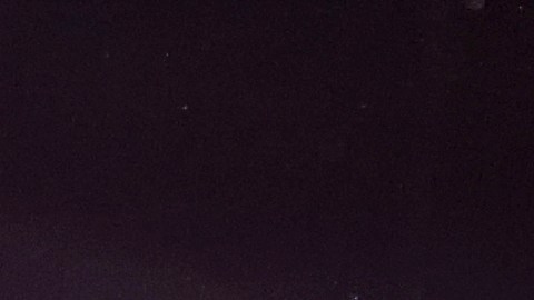 Le'Veon Bell durante su pelea contra Uriah Hall.