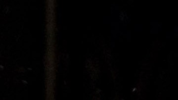 Reina Isabel II y El Príncipe William