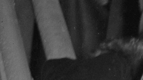 Frank Sinatra