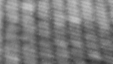 Miles de prisioneros también fueron utilizados como forraje para experimentos médicos.