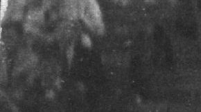 Fans en Nueva York esperando la llegada del grupo de pop británico The Beatles.