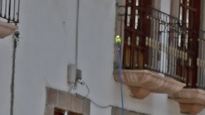 Policía de México