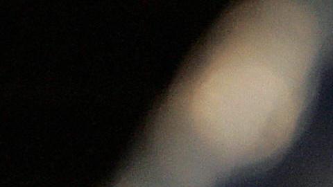 La mexicana Jackie Nava (Izquierda) se retira a los 42 años de edad.