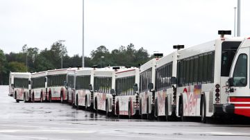 Disney World transport buses sit in an empty parking lot after its theme parks closed due to Hurricane Matthew, on October 7, 2016. Disney and the other Orlando-area theme parks closed their doors from Thursday afternoon through the end of day Friday. Hurricane Matthew unleashed torrential rains and up to 120 mile-an-hour (193-kph) winds as it hugged the Florida coast Friday, after a blast through the Caribbean that reportedly left at least 400 dead in Haiti. / AFP / Gregg Newton (Photo credit should read GREGG NEWTON/AFP via Getty Images)