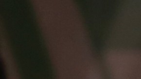 Javier 'Chicharito' Hernández (i) y Javier Aquino (d) compartieron en la selección mexicana.