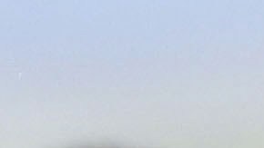 401082 04: A German Shepard bares its teeth during Schutzhund attack dog training at Witmer-Tyson Imports February 14, 2002 in Newark, CA. The trial of Marjorie Knoller and Robert Noel, whose two giant Presa Canario attack dogs killed 33-year-old Diane Whipple last January, is scheduled to begin on February 19, 2002 in Los Angeles. (Photo by Justin Sullivan/Getty Images)