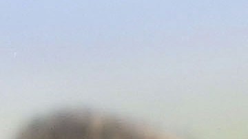 401082 04: A German Shepard bares its teeth during Schutzhund attack dog training at Witmer-Tyson Imports February 14, 2002 in Newark, CA. The trial of Marjorie Knoller and Robert Noel, whose two giant Presa Canario attack dogs killed 33-year-old Diane Whipple last January, is scheduled to begin on February 19, 2002 in Los Angeles. (Photo by Justin Sullivan/Getty Images)