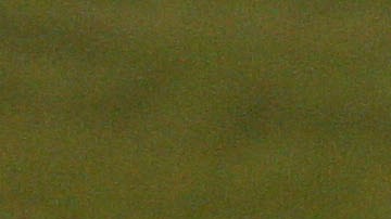 Mike Timlin #50 de los Boston Red Sox celebra con el trofeo después de derrotar a los St. Louis Cardinals 3-0 en el cuarto juego de la Serie Mundial el 27 de octubre de 2004 en el Busch Stadium en St. Louis, Missouri.