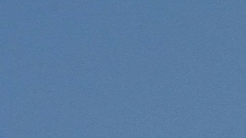 Yankees y Milan estarán juntos en Estados Unidos e Italia.