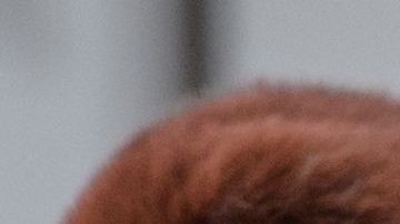 La gente asiste a una ceremonia de conmemoración del 15 aniversario del drama musical de rehenes Nord-Ost cerca del Teatro Dubrovka en Moscú el 26 de octubre de 2017.