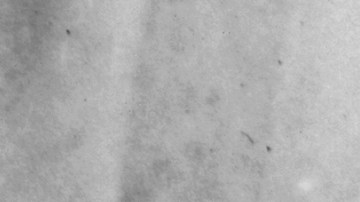 De izquierda a derecha, el Ministro de Relaciones Exteriores de Alemania, Joachim von Ribbentrop, el Ministro de Relaciones Exteriores de Italia, el Conde Ciano, el Canciller alemán Adolf Hitler (1889 - 1945) y el Mariscal de campo Hermann Goering saludan a la multitud desde el balcón de la nueva Cancillería del Reich en Berlín, Alemania, después de firmar el pacto militar italo-alemán, 23 de mayo de 1939.