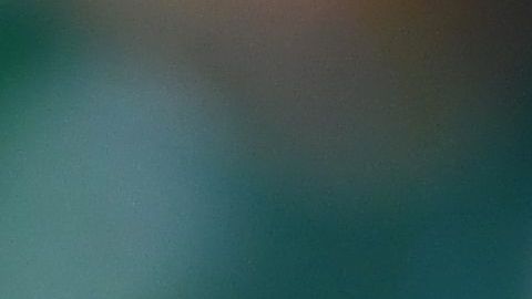 Aficionado mexicano porta una máscara de Rey Mysterio.