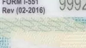 El uso de la marihuana puede afectar los procesos migratorios.