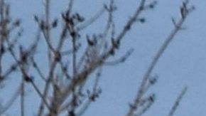 Guardia de seguridad dispara contra hombre que agrede a mujer cerca de puente internacional de El Paso