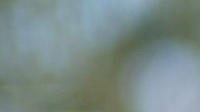 Miguel Narváez, co-fundador de PMG. (Suministrada)