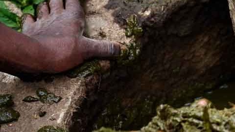 Carentes de alimentos, los niños maltratados debían comer heces fecales y beber su propia orina