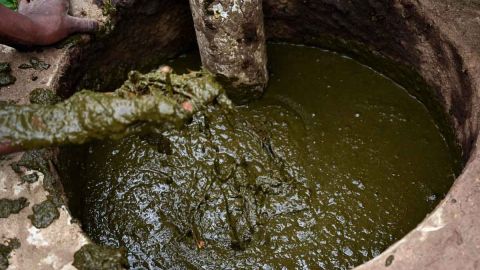 Carentes de alimentos, los niños maltratados debían comer heces fecales y beber su propia orina