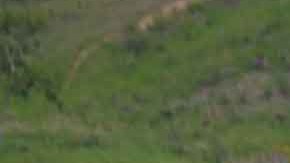 Se abrió una investigación ligada a la aeronave