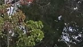 Trabajadores han protestado por dos días consecutivos. (Suministrada)