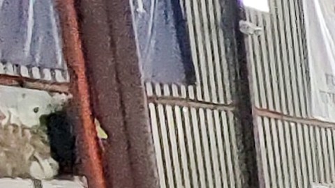 La mujer y su hijo están en un albergue en Tijuana.