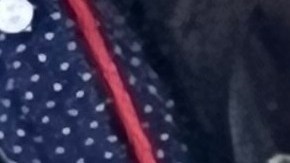 Las cortes migratorias enfrentan severos rezagos en atención de casos.