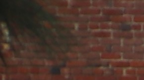 Unos 5,000 oaxaqueños salen a marchar a las calles de Los Ángeles.