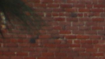 Unos 5,000 oaxaqueños salen a marchar a las calles de Los Ángeles.