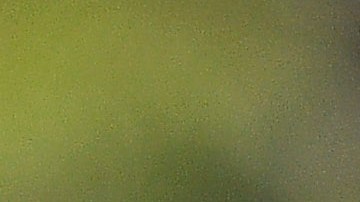 El delantero argentino, Juan Dinneno en un partido del Apertura 2021 con Pumas.