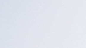 Aficionados de Club América durante un partido del equipo femenil en Torneo Grita México.