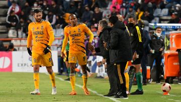 El delantero colombiano Luis Quiñones y el enttrenador Miguel Herrera conversan durante un partido del Clausura 2022.