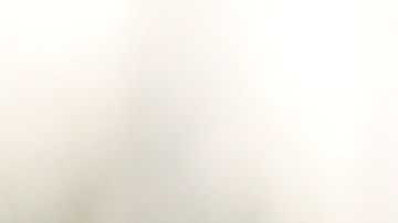 Rodolfo Pizarro, mediocampista mexicano.