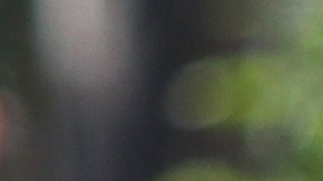 Ricardo Pelaéz (izquierda) junto a Ricardo Cadena durante un entrenamiento de las Chivas de Guadalajara en el Torneo Clausura de la Liga MX 2022.