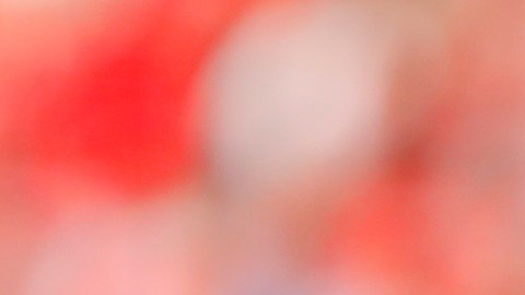 El fubbolista de las Chivas de Guadalajara, Antonio Briseño durante un partido del Torneo Clausura de la Liga MX.