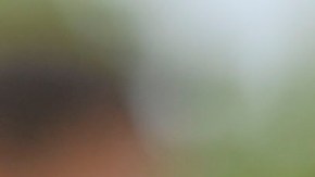 Raúl Jiménez, delantero mexicano.