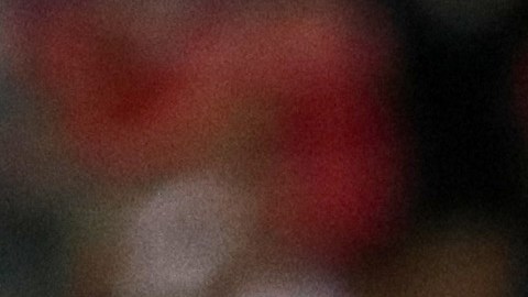 Alexis Vega tuiteó tras la victoria del América.