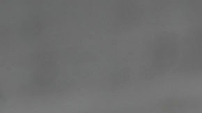 Javier 'Chicharito' Hernández, goleador mexicano.