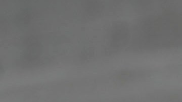 Javier 'Chicharito' Hernández, goleador mexicano.