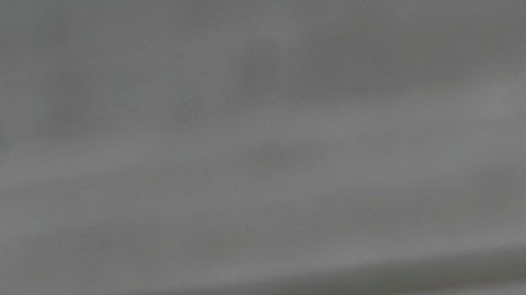 Javier 'Chicharito' Hernández, goleador mexicano.