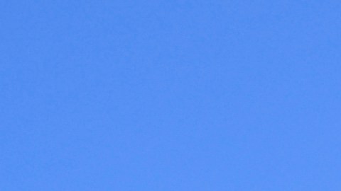 Pumas, Atlas y Querétaro fueron los equipos que pagaron multa en este Apertura 2022.