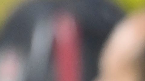 Fernando 'Tano' Ortiz, entrenador de las Águilas del América.