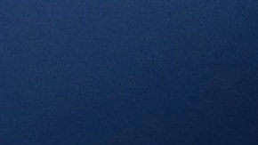 Alejandro Zendejas marcó seis goles en la temporada.