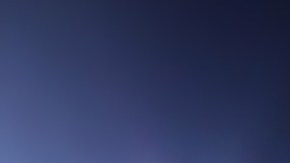 André-Pierre Gignac, delantero francés de los Tigres de la UANL.