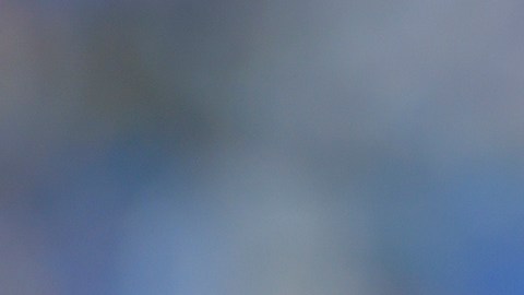 Amaury Vergara buscará dos nuevos integrantes para la dirección de las Chivas.