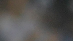 Los Tuzos de Pachuca antes del duelo ante Rayados.