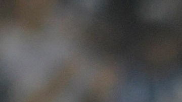 Los Tuzos de Pachuca antes del duelo ante Rayados.