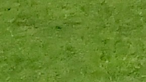 Raúl 'Dedos' López celebrando el gol de Toluca en la final ante Pachuca.